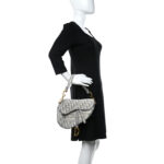 CHRISTIAN DIOR Oblique Embroidered Saddle Bag Gray