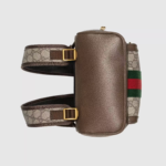 Ophidia GG small backpack