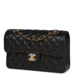 Chanel Small Classic Double Flap Black Caviar Gold Hardware