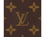 Neverfull GM