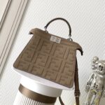 Fendi Peekaboo ISeeU Petite Leather Bag – Dual Style Elegance in Calfskin