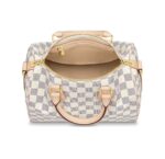 LOUIS VUITTON SPEEDY 25 BANDOULIÈRE IN DAMIER EBÈNE