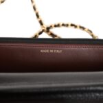 Chanel Wallet on Chain WOC Black Caviar Gold Hardware