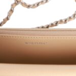 Chanel Wallet on Chain WOC Beige Caviar Silver Hardware